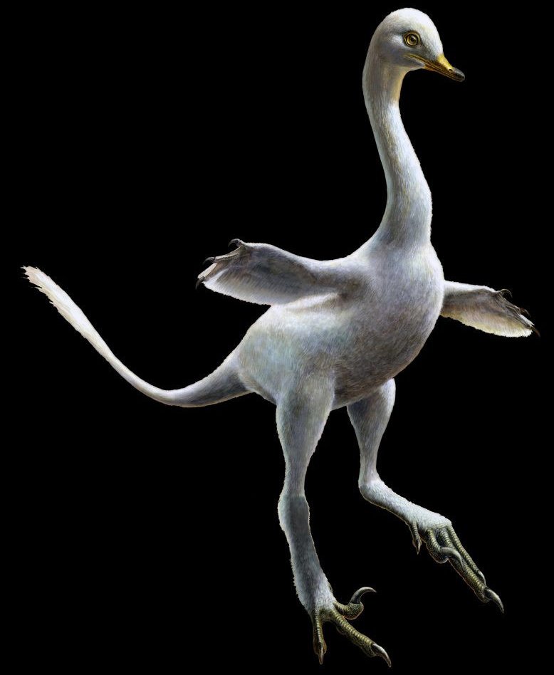 モンゴルで化石が見つかった水鳥に似た新種恐竜の想像図（英ネイチャー誌、ルーカス・パンザリン氏提供　時事）