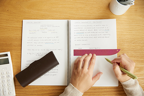 魚の形の定規「fish」