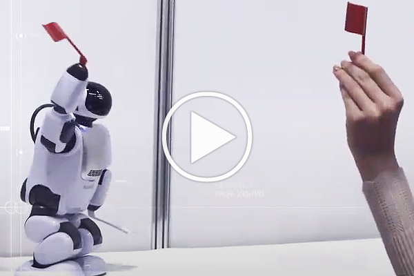 【2019国際ロボット展】iREX2019公式記録映像 ver.Service Robot