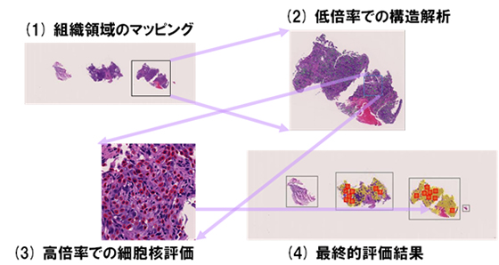 ǻٱ祷ƥࡡe-Pathologist